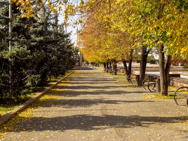 Vicolo d'autunno dorato