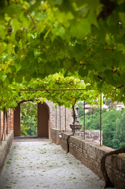 Vicolo dei giardini del Palais de la Berbie ad Albi, Tarn, Francia. Scatto con messa a fuoco selettiva