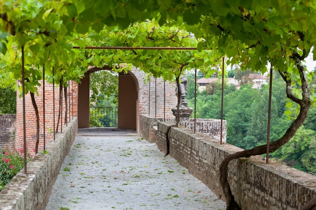 Vicolo dei giardini del Palais de la Berbie ad Albi, Tarn, Francia. Scatto con messa a fuoco selettiva