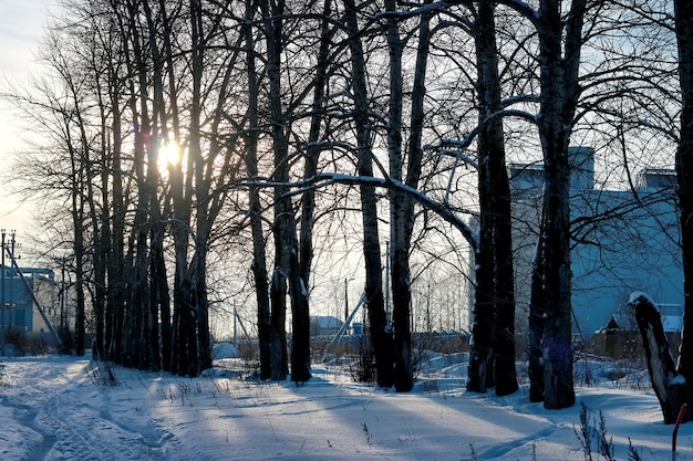 Vicolo del campo stradale invernale