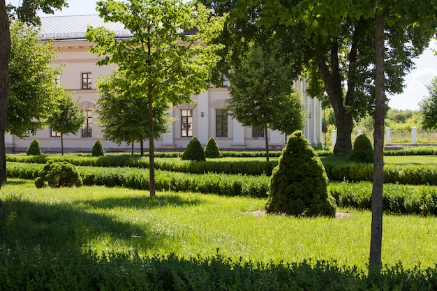 Vicolo del parco con sentiero in pietra schiacciata con alberi e cespugli tagliati di verde