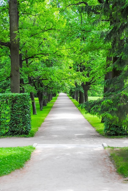 Vicolo di Carskoe Selo a San Pietroburgo