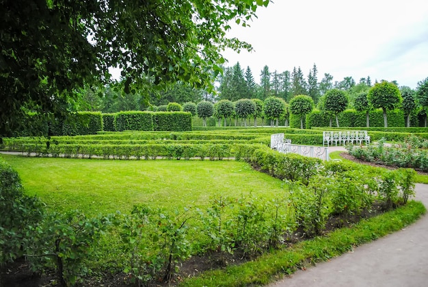 Vicolo di Carskoe Selo a San Pietroburgo