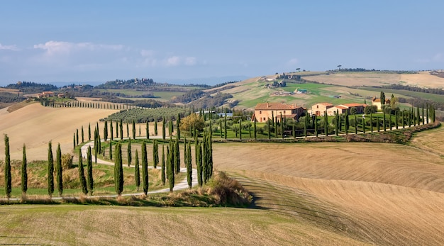 Vicolo di cipressi e campi agricoli Val d'Orcia in autunno Toscana Italia