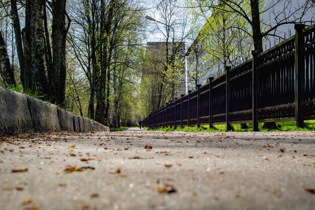 Vicolo di piastrelle nel parco nel parco