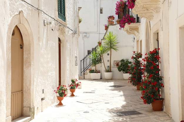 Vicolo fiorito a Locorotondo con pareti bianche in Puglia, Italia