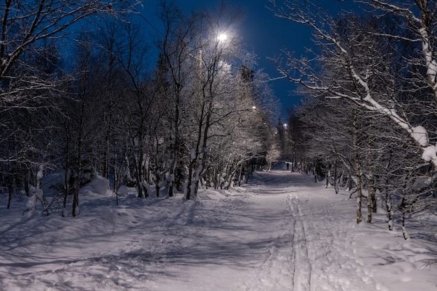 Vicolo illuminato da lanterne nella notte Winter Park con la neve