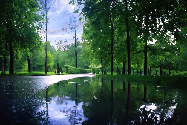 Vicolo in alberi verdi del parco primaverile