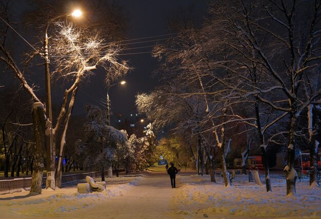 Vicolo innevato del parco nella città di Volgograd in Russia