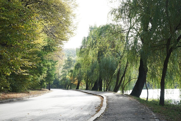 Vicolo nel bellissimo parco autunnale