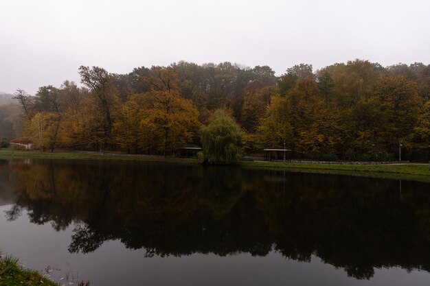 vicolo nel parco nebbioso. Autunno, tempo piovoso