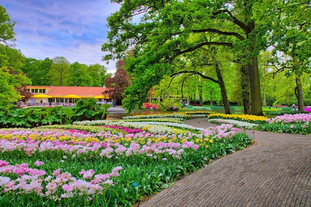 Vicolo tra tulipani colorati Parco Keukenhof Lisse in Olanda