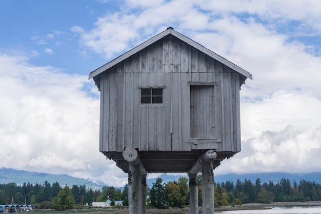 VICTORIA CANADA 12 SETTEMBRE 2018 L'installazione artistica creata dall'artista di Vancouver Emily Carr e dalla professoressa Liz Magor