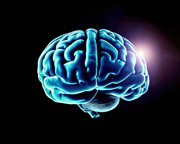 Viene mostrato un cervello blu con la parola cervello sul lato sinistro.