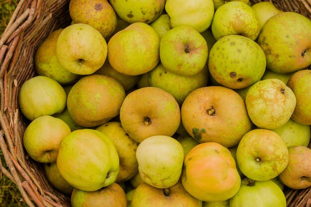 viene mostrato un cesto pieno di pere e pere