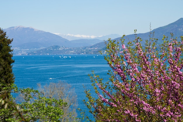 viewfield con panorama di Verbania