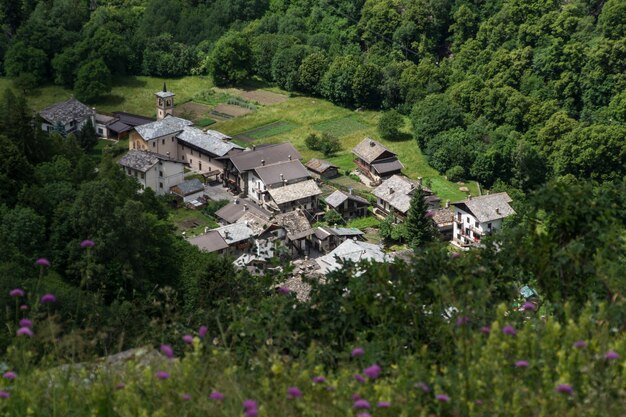 Vieyesparc du grand paradisval d'aosteitaly