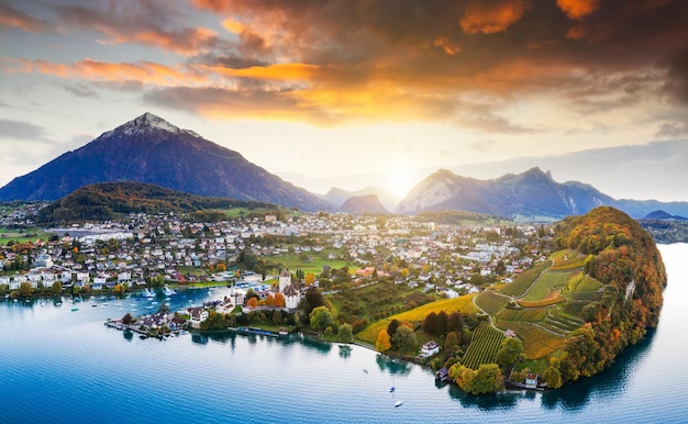 Vigneti con il castello di Spiez a Spiez nell'Oberland Bernese della Svizzera