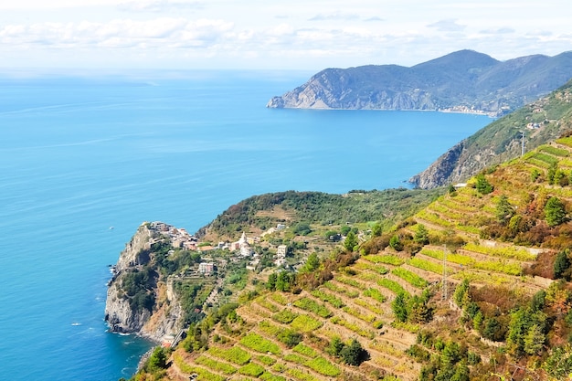 Vigneti e terrazze vicino a Riomaggiore, Italia