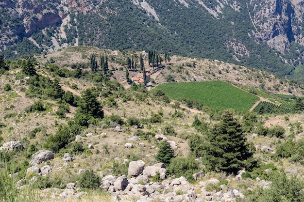 Vigneti in montagna Grecia Peloponnessus