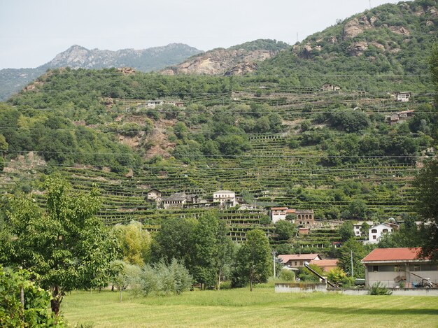 Vigneti in Valle d'Aosta