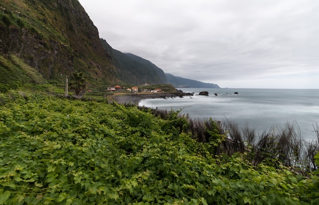 Vigneto nell&#39;isola di madeira