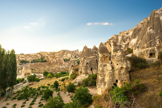 Vigneto tra scogliere coniche in Cappadocia, Turchia