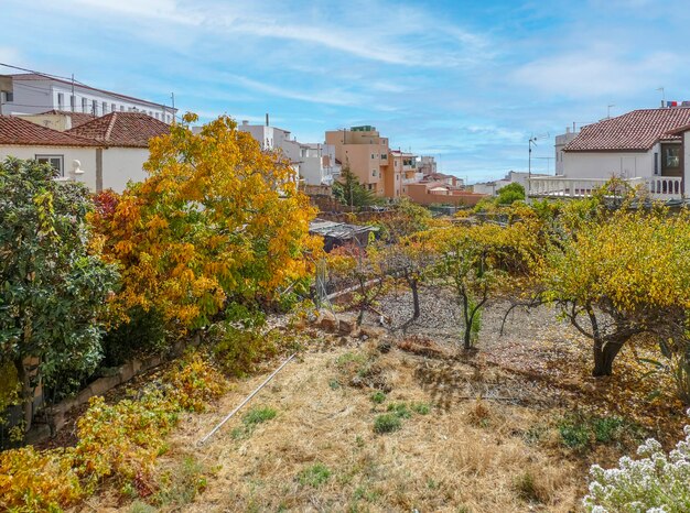 Vilaflor a Tenerife