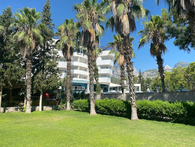 Villa con piscina palme e vista mare