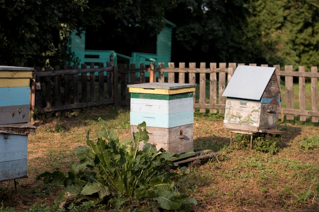 Villaggio apiario produzione miele Alveare