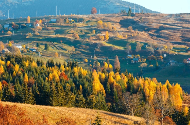 Villaggio dei Carpazi d'autunno Ucraina