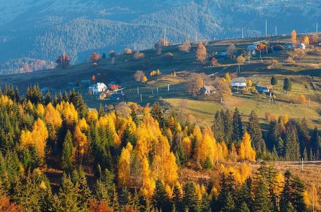 Villaggio dei Carpazi d'autunno Ucraina