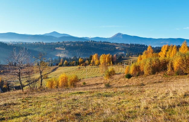 Villaggio dei Carpazi d'autunno Ucraina