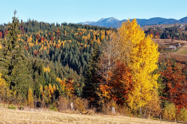 Villaggio dei Carpazi d'autunno Ucraina