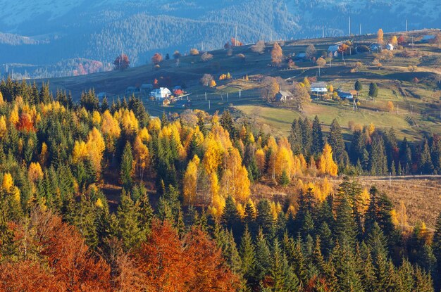 Villaggio dei Carpazi d'autunno Ucraina