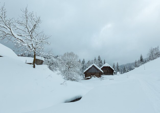 Villaggio dei Carpazi d'inverno