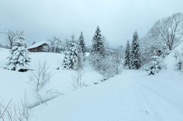 Villaggio dei Carpazi d'inverno