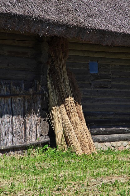 Villaggio di Ozertso nel paese della Bielorussia