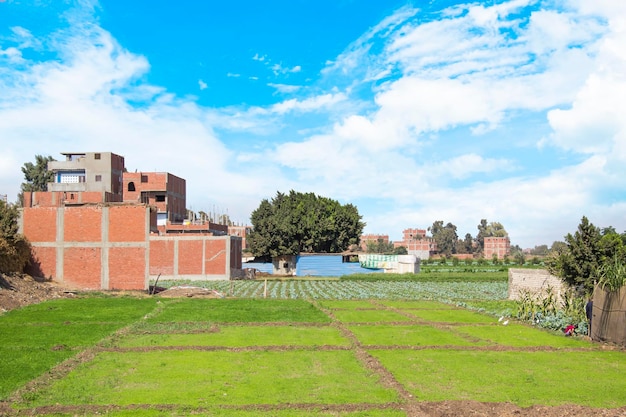 Villaggio egiziano tradizionale vicino al Cairo, Egitto