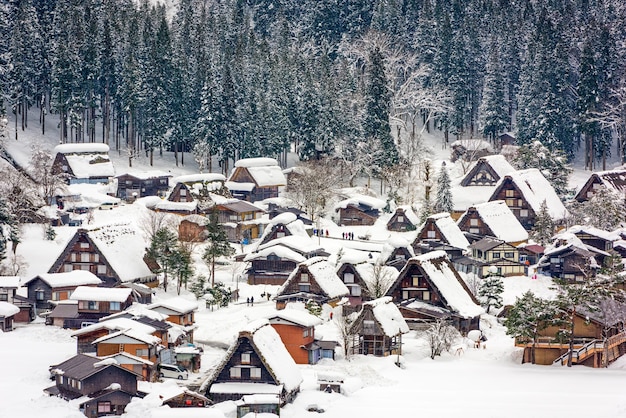 Villaggio giapponese di Shirakawago