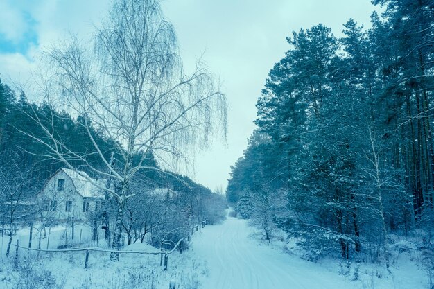 Villaggio nella foresta in inverno nevoso