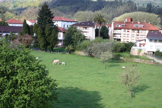 Villaggio rurale in Spagna