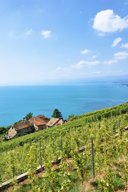 Villaggio svizzero a Lavaux Vineyard Terraces sentiero escursionistico, Lago di Ginevra e montagne svizzere, distretto di Lavaux-Oron in Svizzera