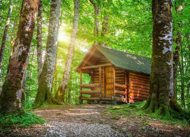 Villaggio turistico nel Parco Nazionale Biogradska Gora