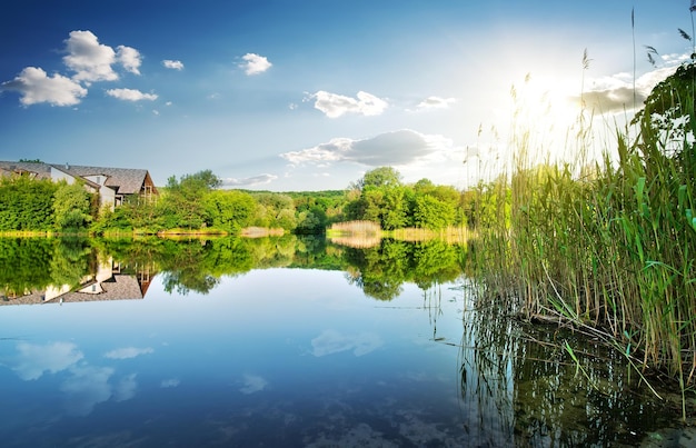 Villaggio vicino al fiume calmo in primavera