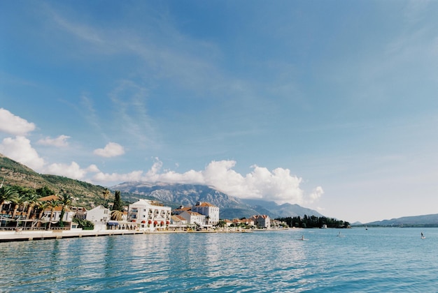 Ville costose tra le palme sulla costa della baia di kotor porto montenegro