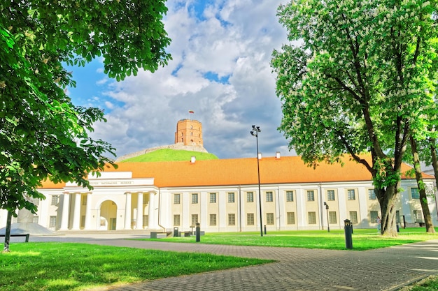 Vilnius, Lituania - 24 maggio 2016: Museo Nazionale della Lituania e la Torre Gediminas a Vilnius, Lituania. La Torre di Gediminas è anche chiamata Castello Superiore.