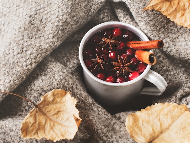 Vin brulé in tazza con mirtillo rosso e spezie su sfondo grigio maglione