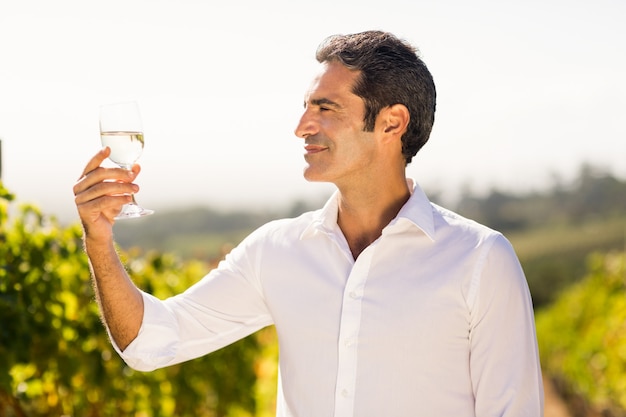 Vinaio maschio sorridente che esamina bicchiere di vino