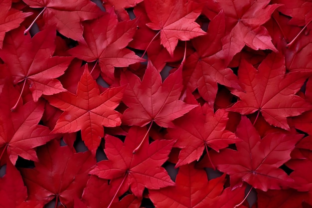 Vino rosso autunno foglie texture caduta natura sfondo AI Generativo